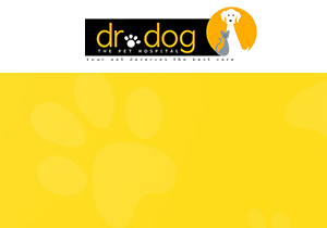 Dr. Dog Online